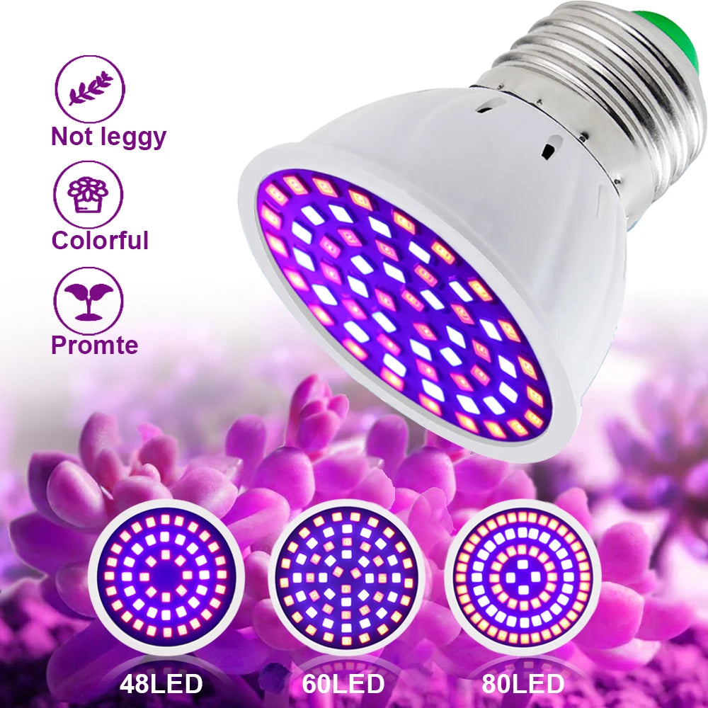 LED grow light with purple and blue LED pattern on a floral background