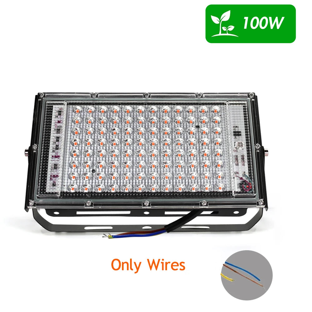 LED Grow Light AC220V - Full Spectrum Phytolamp 50W/100W/150W