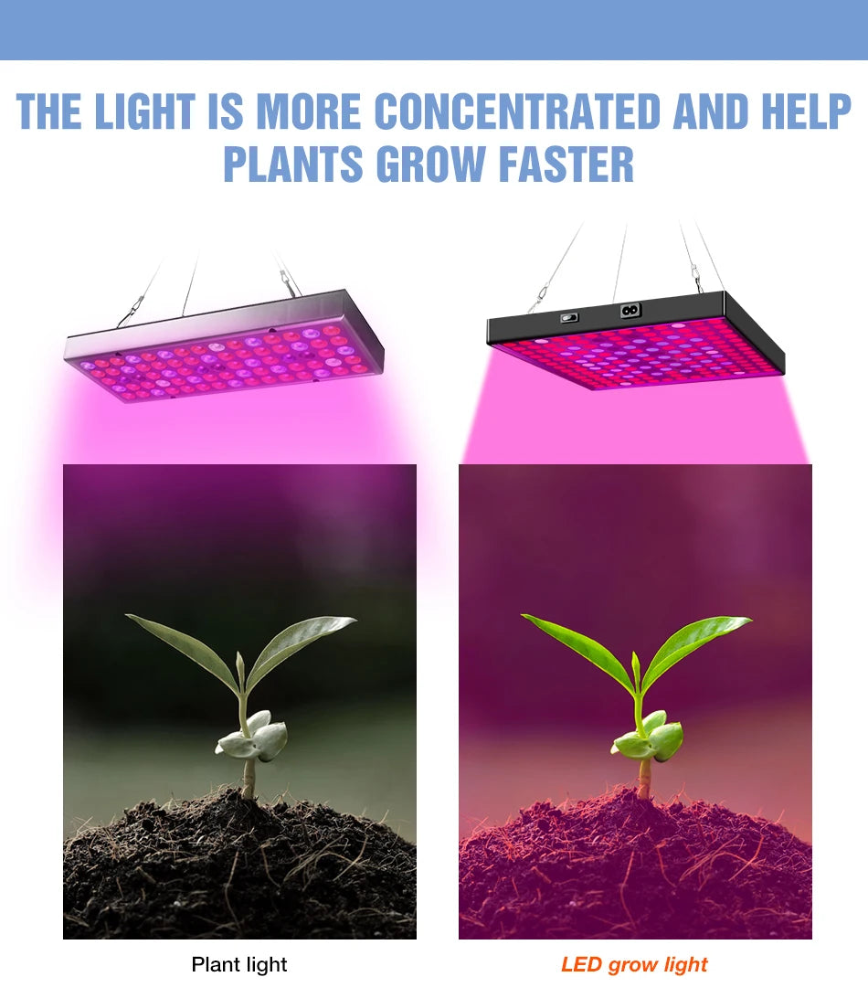 Lampe de culture LED haute puissance 2000 W/3000 W - Phytolampe à spectre complet 2835