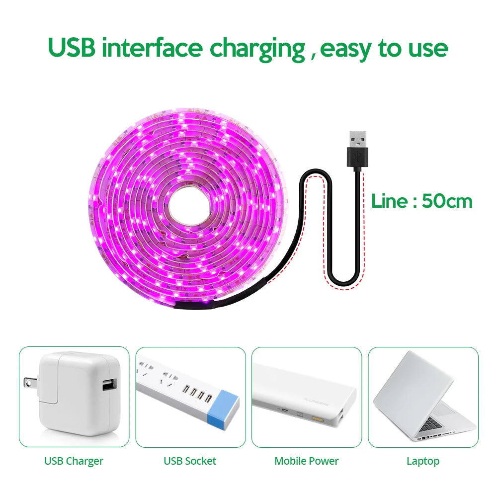 Bande lumineuse LED de croissance 5 V USB - 2835 spectre complet, longueurs 1 m/2 m/3 m