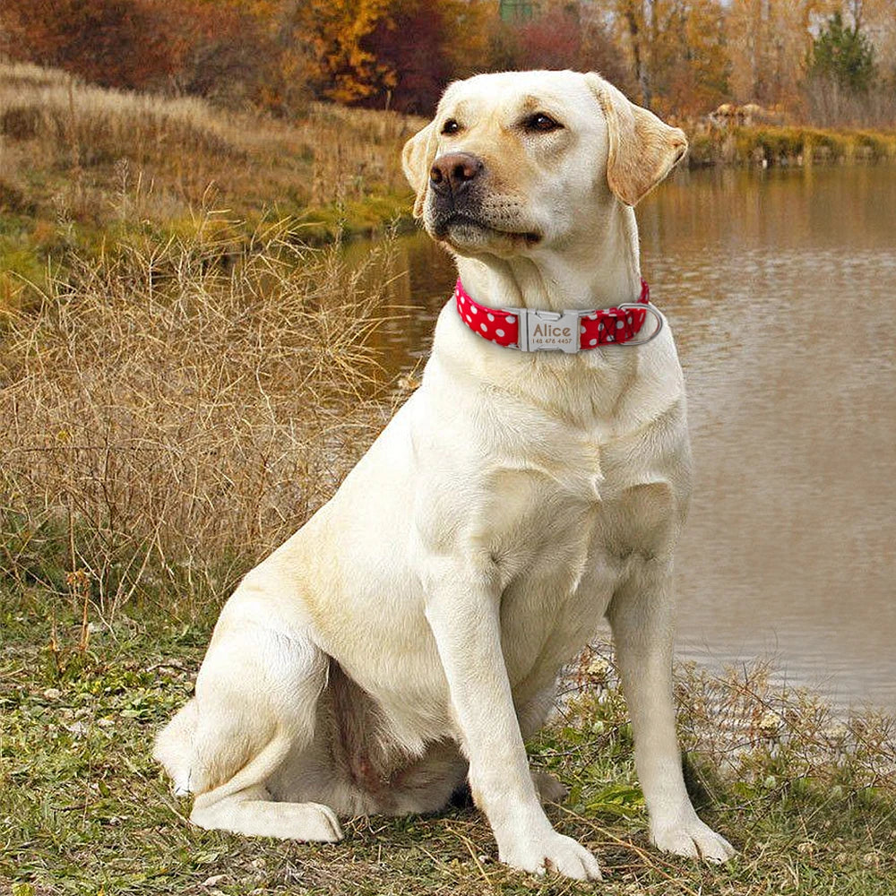 Collar de perro personalizado - Collar de nailon para mascotas con identificación grabada