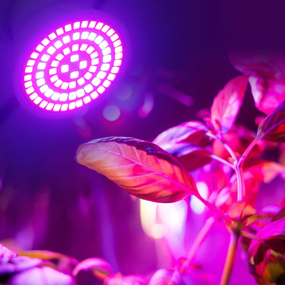 LED Grow Bulb - Full Spectrum Plant Growth Light