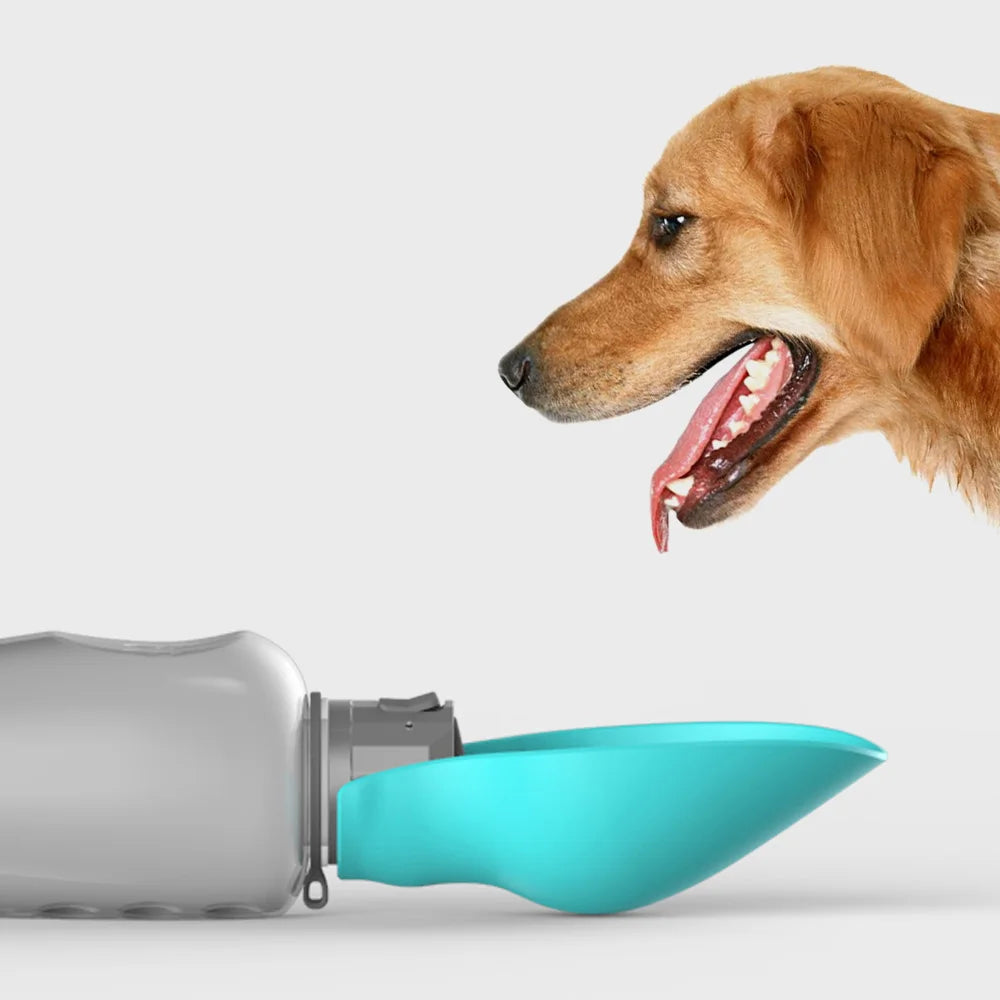 Bouteille d'eau portable pour animaux de compagnie - 800 ml