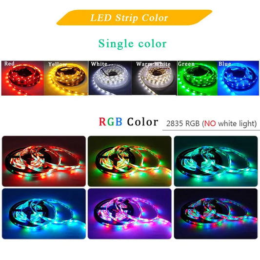 LED Strip Light 5M 300LEDs RGB - Waterproof SMD2835 12V - Bascora