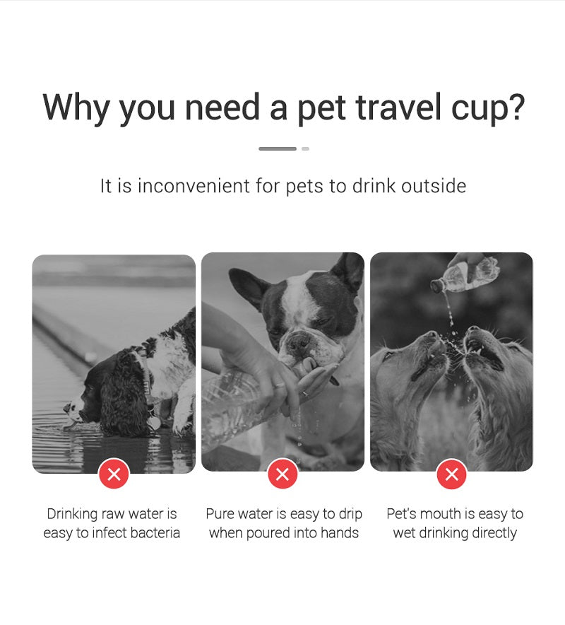 Portable Dog Water Bottle - Leakproof Design