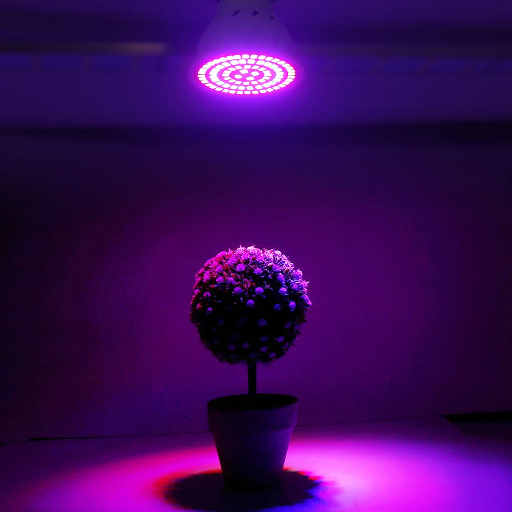 LED Grow Bulb - Full Spectrum Plant Growth Light