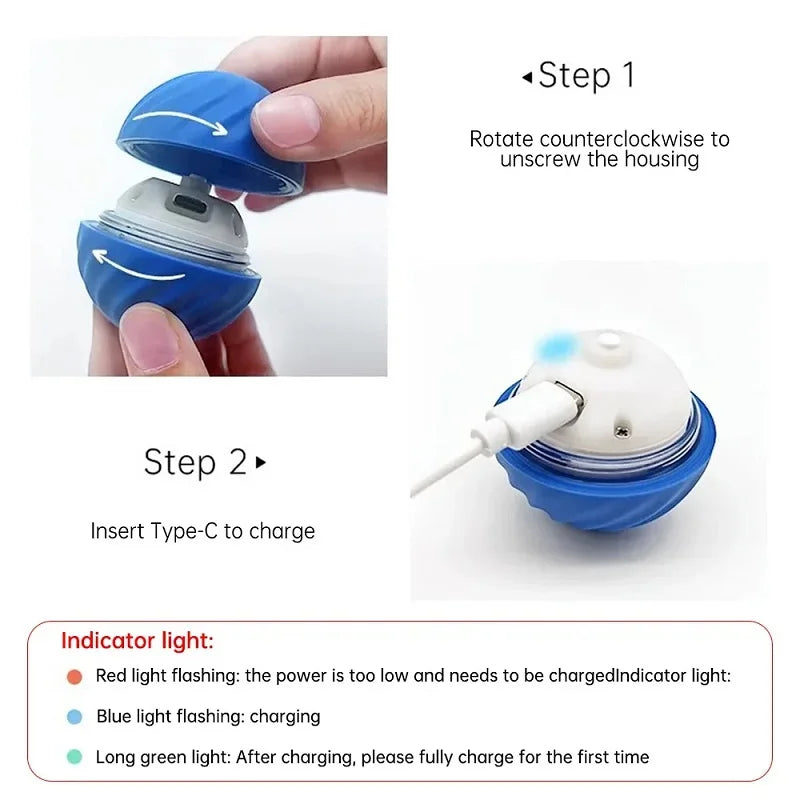 Interactive Dog Toy Ball