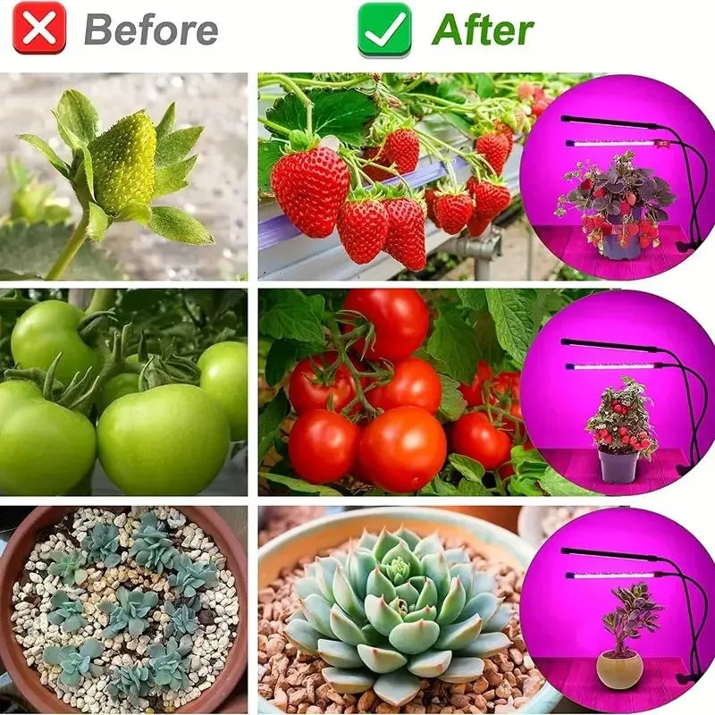 USB 5V LED Grow Light Bulb - Full Spectrum 10W-40W Phyto Lamp - Bascora