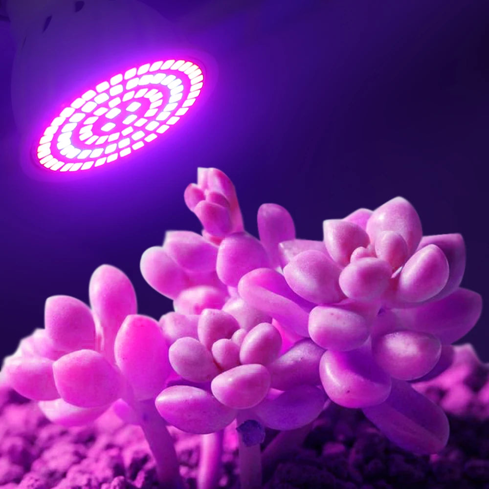 LED Grow Bulb - Full Spectrum Plant Growth Light