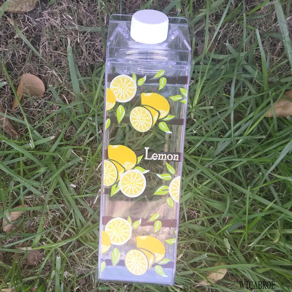 Bouteille d'eau en carton de lait - Gobelet portable transparent