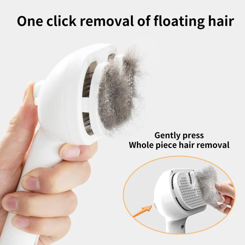 Brosse de massage à vapeur pour animaux de compagnie - Tête ronde sûre avec épilation par pulvérisation
