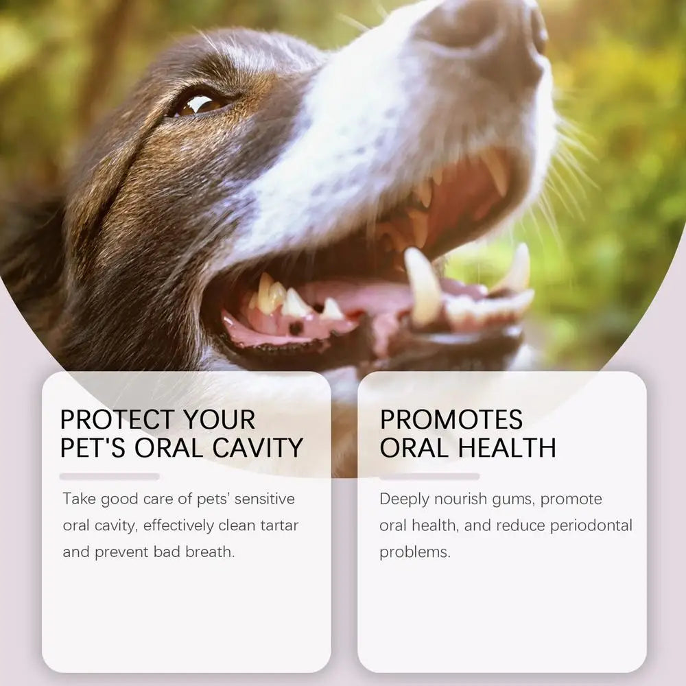 Stylo de nettoyage dentaire pour animaux de compagnie – Haleine fraîche et blanchiment des dents pour chiens et chats