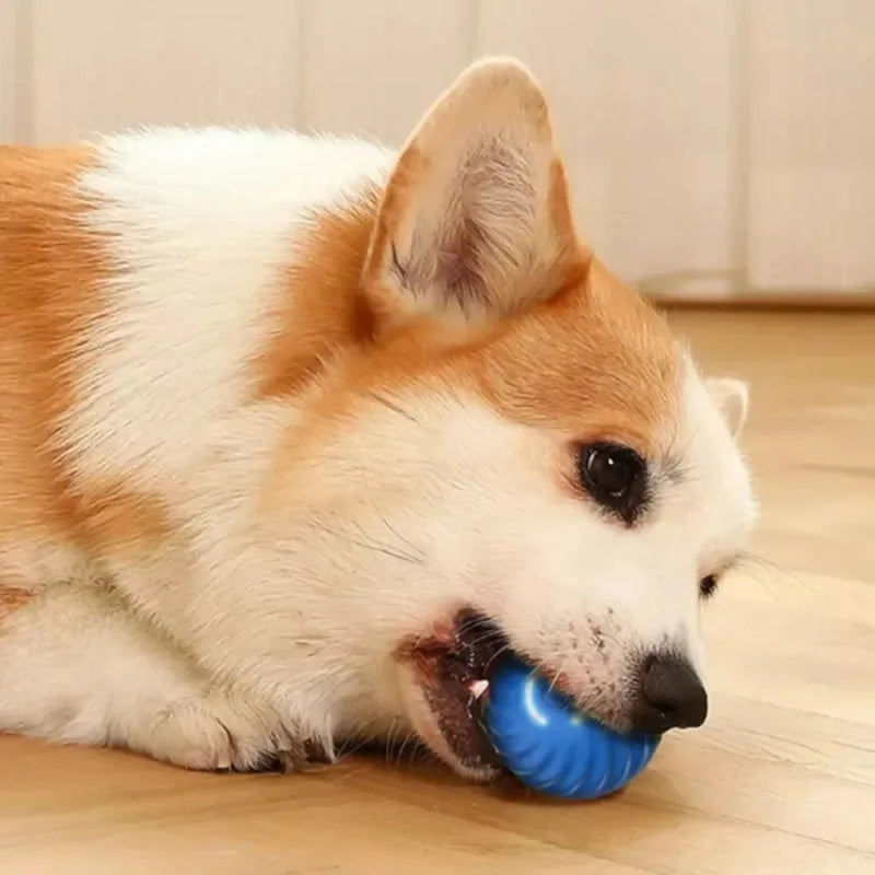 Interactive Dog Toy Ball