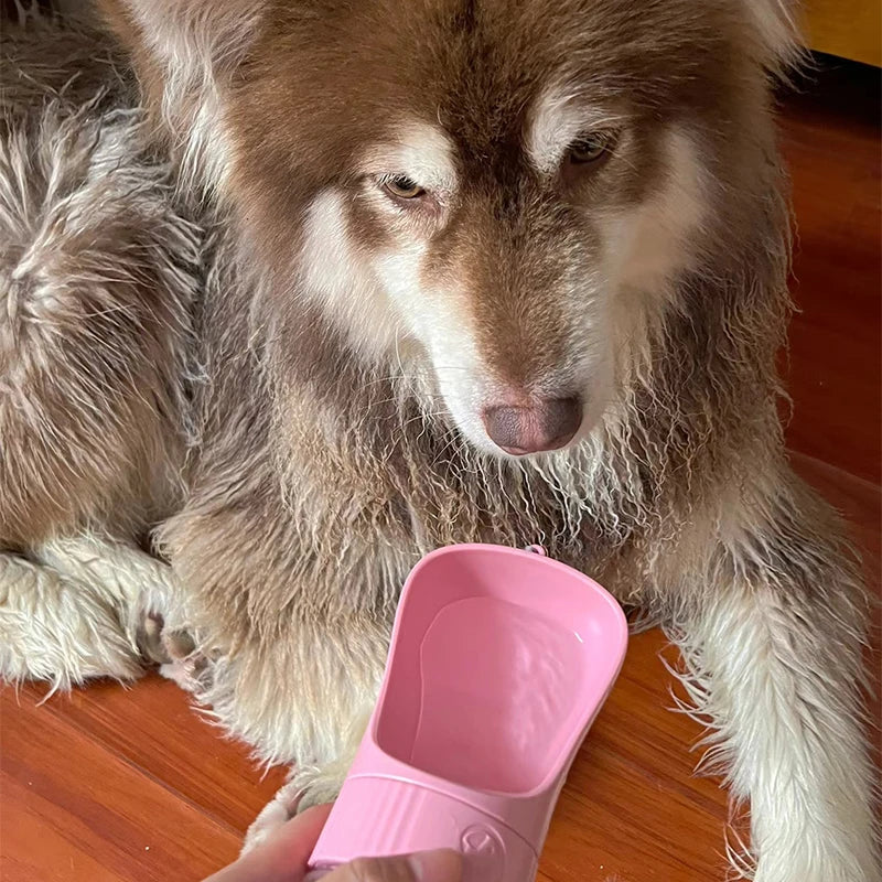 Portable Pet Water Bottle & Food Container