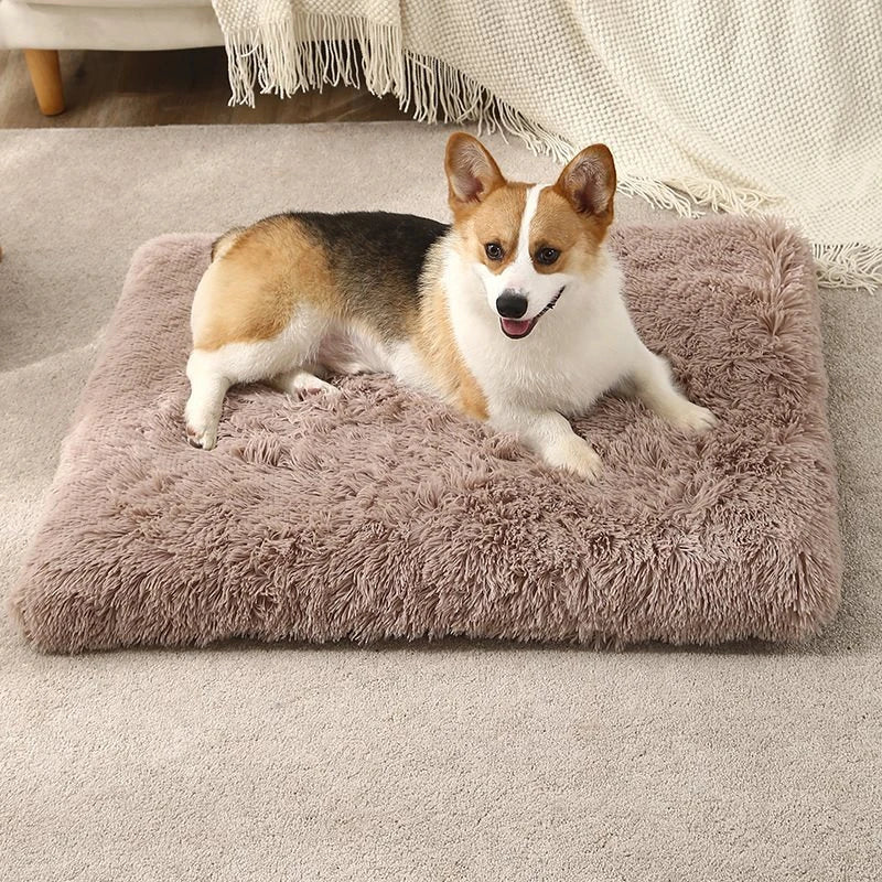 Thick Soft Pet Bed Mat - Square Plush Cushion for Dogs & Cats
