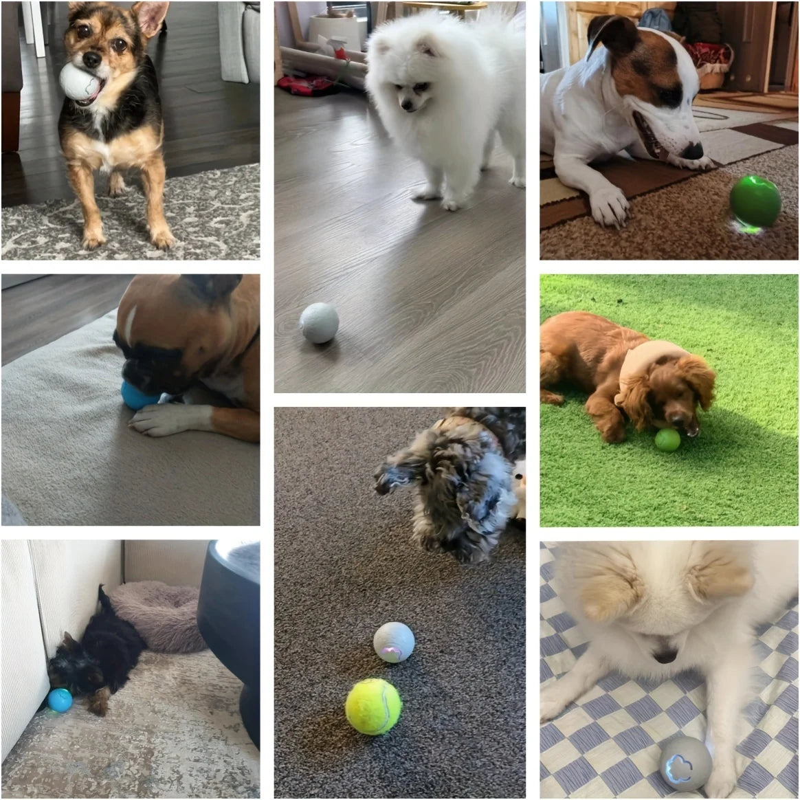 Interactive Pet Toy Ball