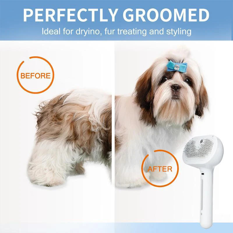Brosse de massage à vapeur pour animaux de compagnie - Tête ronde sûre avec épilation par pulvérisation