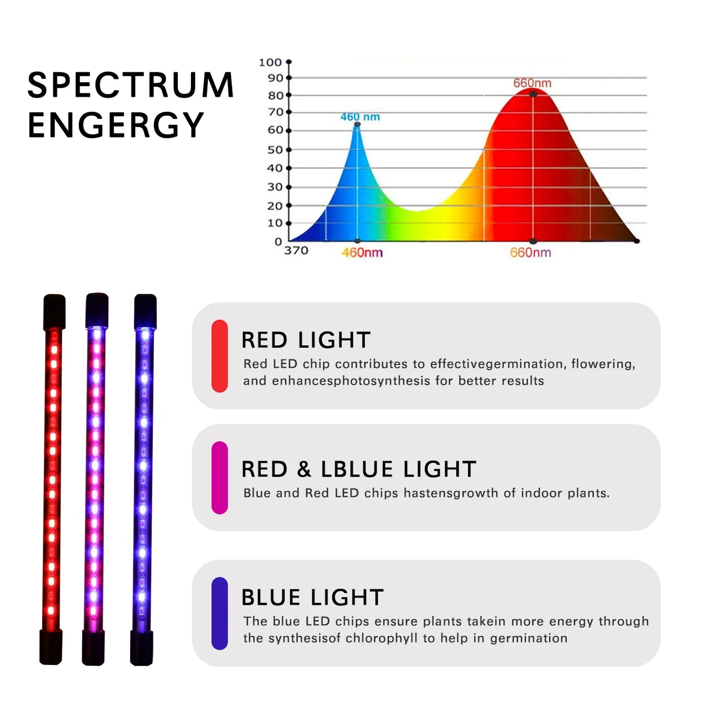 Ampoule LED de croissance USB 5 V - Lampe phyto à spectre complet 10 W-40 W