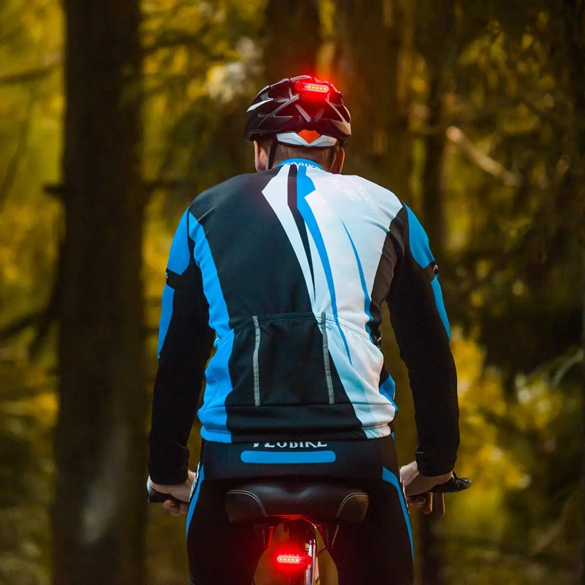 Rear Bike Tail Light - USB Rechargeable Ultra Bright