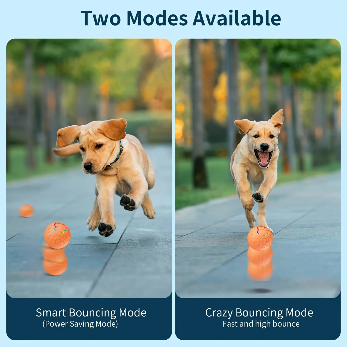 Balle interactive pour animaux de compagnie
