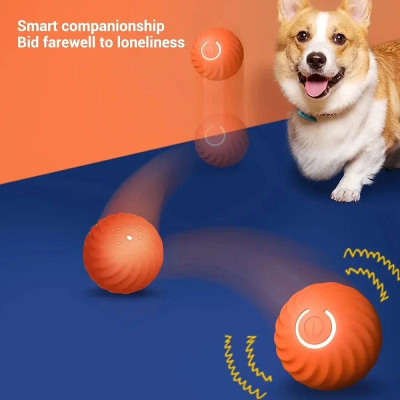 Interactive Dog Toy Ball