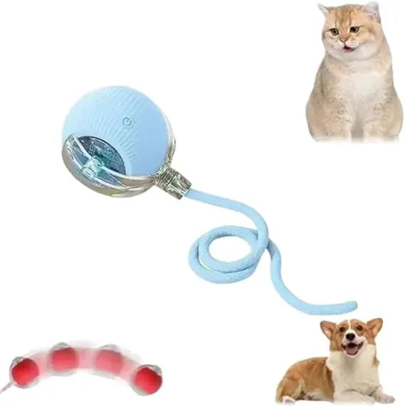 Speedy Tail 2.0 Smart Interactive Rolling Cat Toy Ball