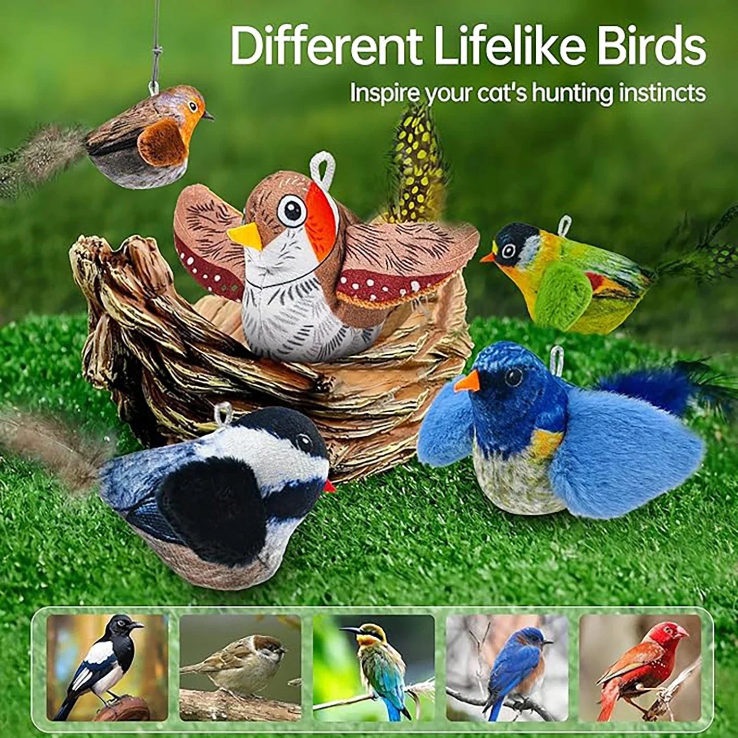 Interactive Cat Toy - Wall Hanging Birds Teaser with Catnip - Bascora