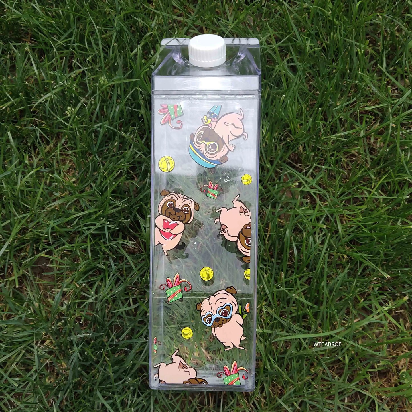 Bouteille d'eau en carton de lait - Gobelet portable transparent