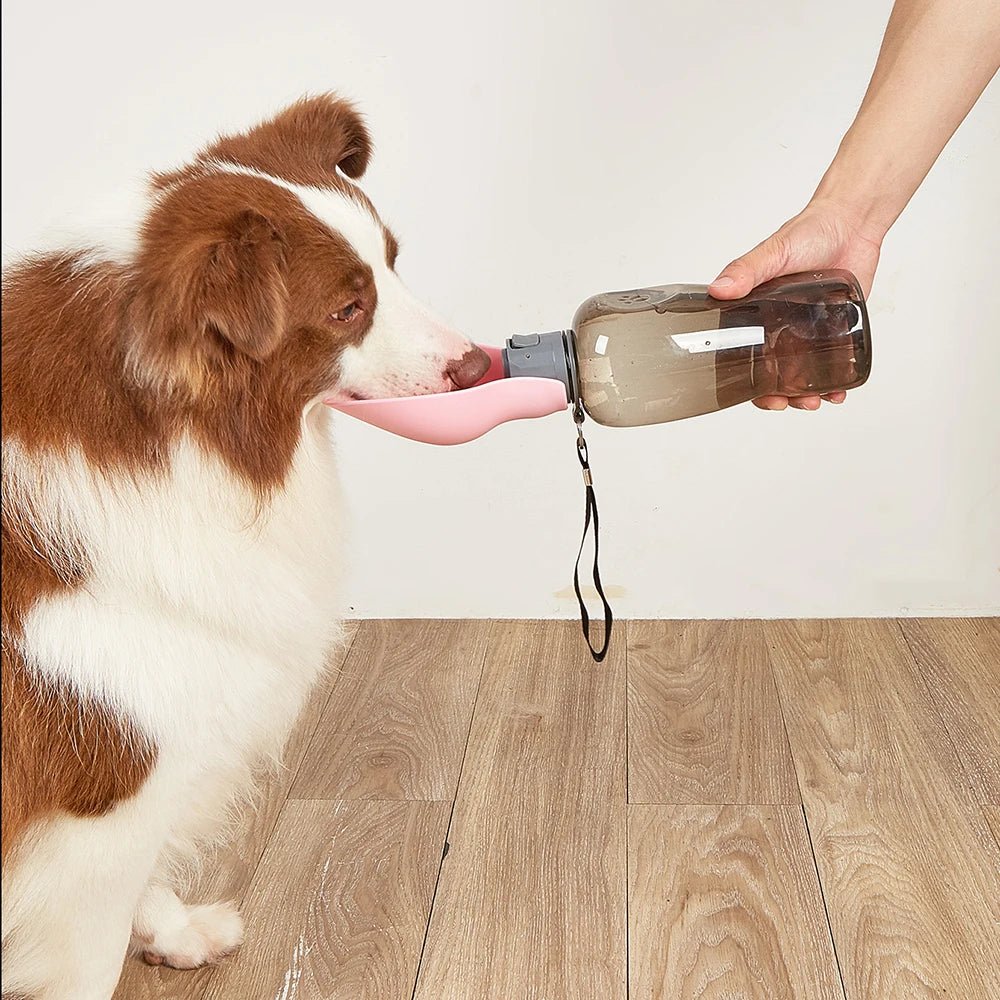 Bouteille d'eau portable pour animaux de compagnie - 800 ml