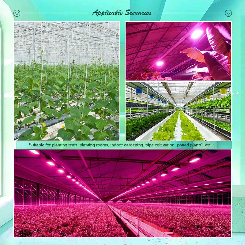 LED Grow Light Floodlight - 220V Indoor Culture Lamp 50W/100W