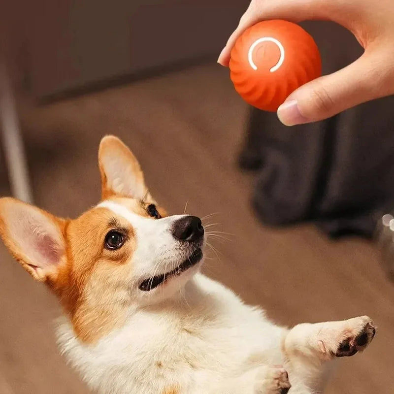 Interactive Dog Toy Ball