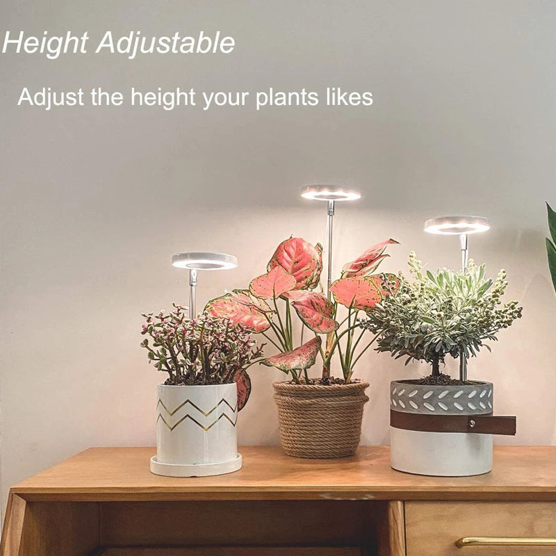 LED Grow Light Full Spectrum - USB 5V with Timer & Height Adjustment