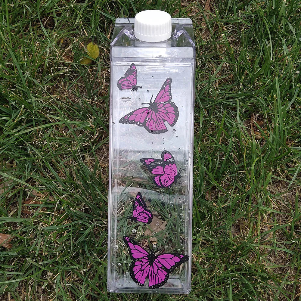 Bouteille d'eau en carton de lait - Gobelet portable transparent