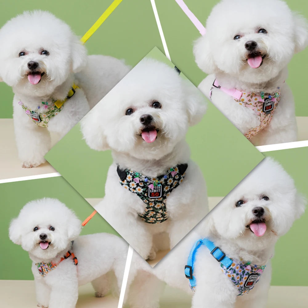 No-Pull Step-In Dog Harness & Lead - Soft Breathable Design