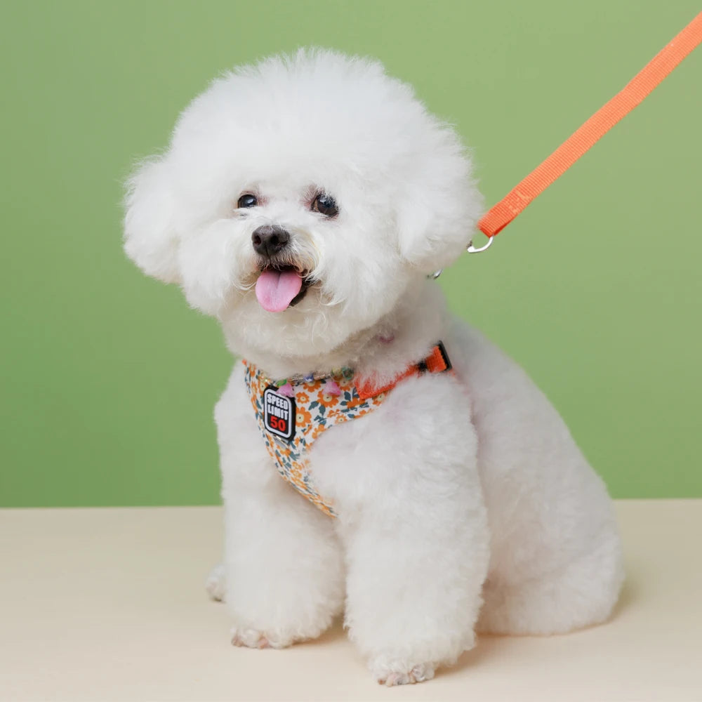 No-Pull Step-In Dog Harness & Lead - Soft Breathable Design