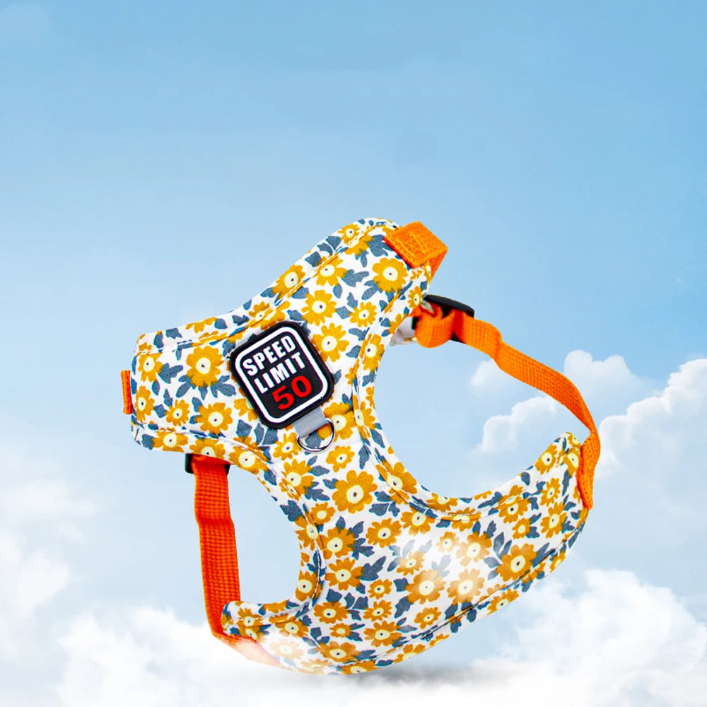 No-Pull Step-In Dog Harness & Lead - Soft Breathable Design