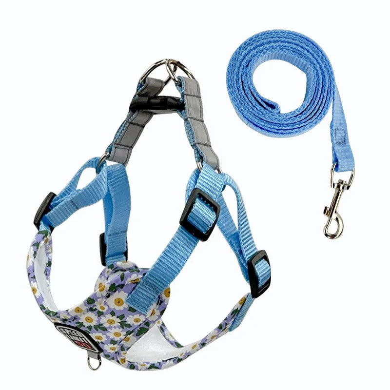 No-Pull Step-In Dog Harness & Lead - Soft Breathable Design