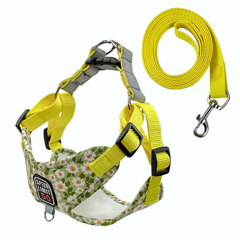 No-Pull Step-In Dog Harness & Lead - Soft Breathable Design