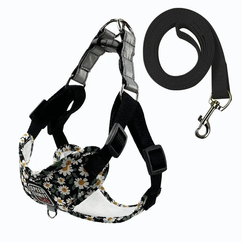 No-Pull Step-In Dog Harness & Lead - Soft Breathable Design