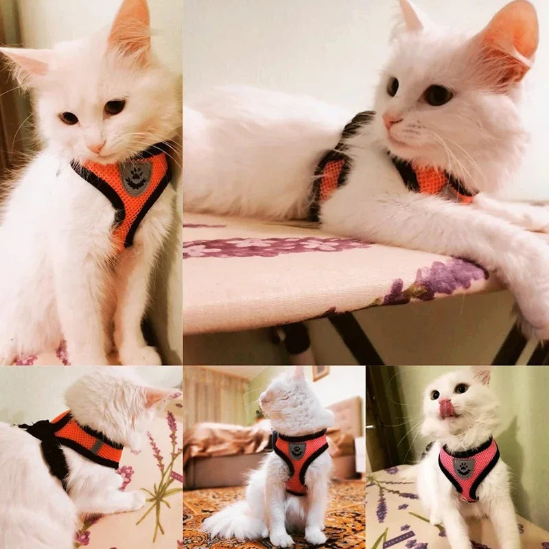 Reflective Mesh Harness & Leash - Cat & Small Dog Vest