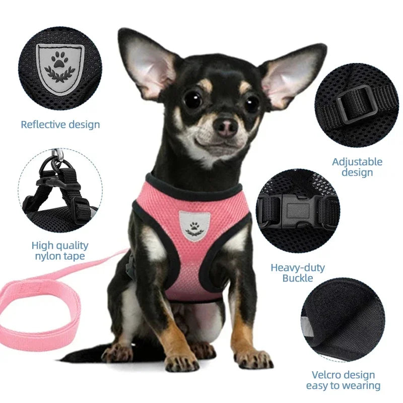 Reflective Mesh Harness & Leash - Cat & Small Dog Vest