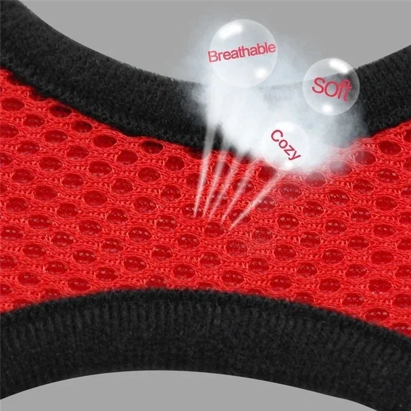 Reflective Mesh Harness & Leash - Cat & Small Dog Vest