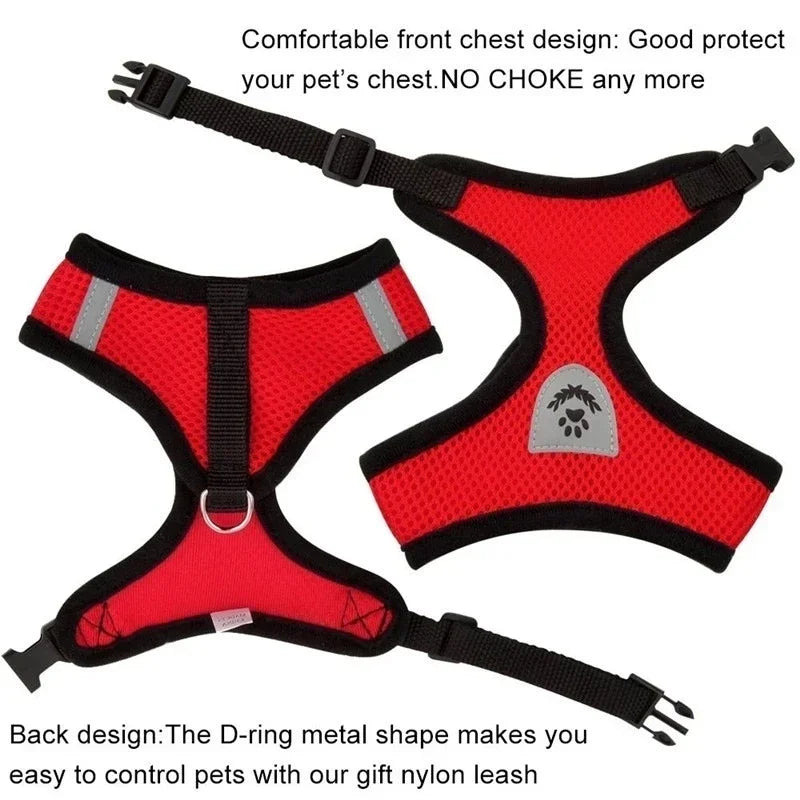 Reflective Mesh Harness & Leash - Cat & Small Dog Vest