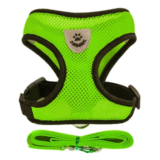 Reflective Mesh Harness & Leash - Cat & Small Dog Vest
