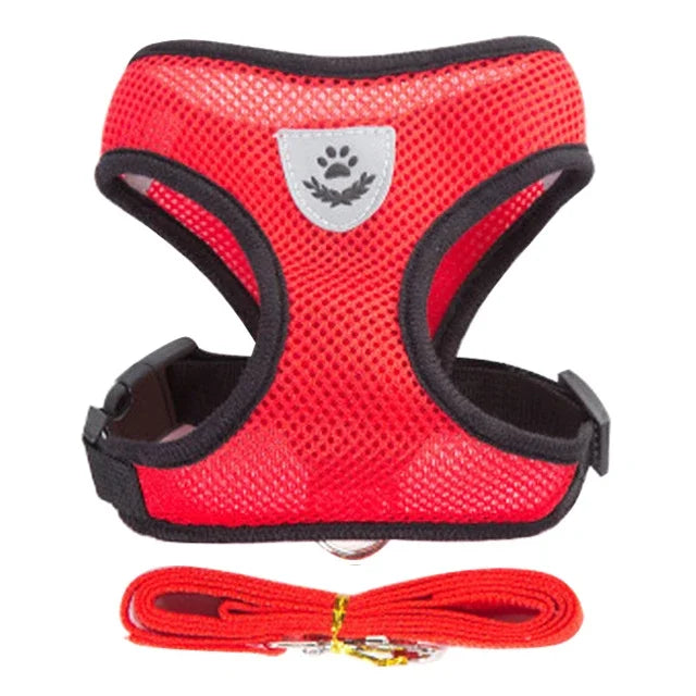 Reflective Mesh Harness & Leash - Cat & Small Dog Vest