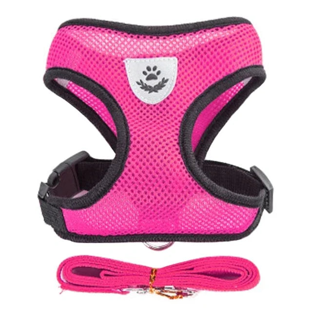 Reflective Mesh Harness & Leash - Cat & Small Dog Vest
