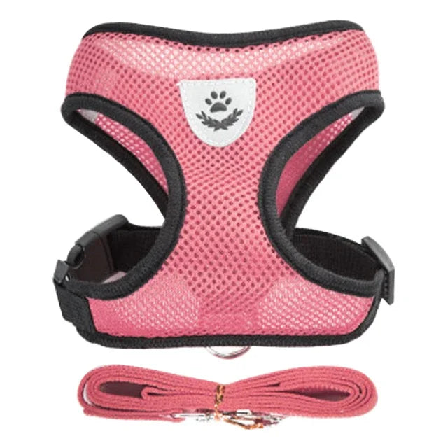 Reflective Mesh Harness & Leash - Cat & Small Dog Vest