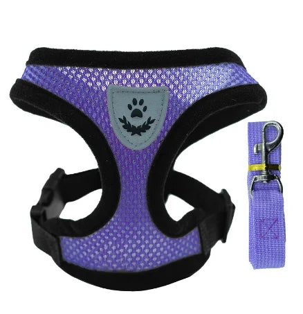 Reflective Mesh Harness & Leash - Cat & Small Dog Vest