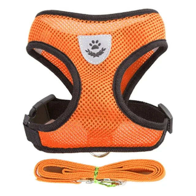 Reflective Mesh Harness & Leash - Cat & Small Dog Vest