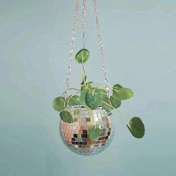 The Disco Planter - Bascora